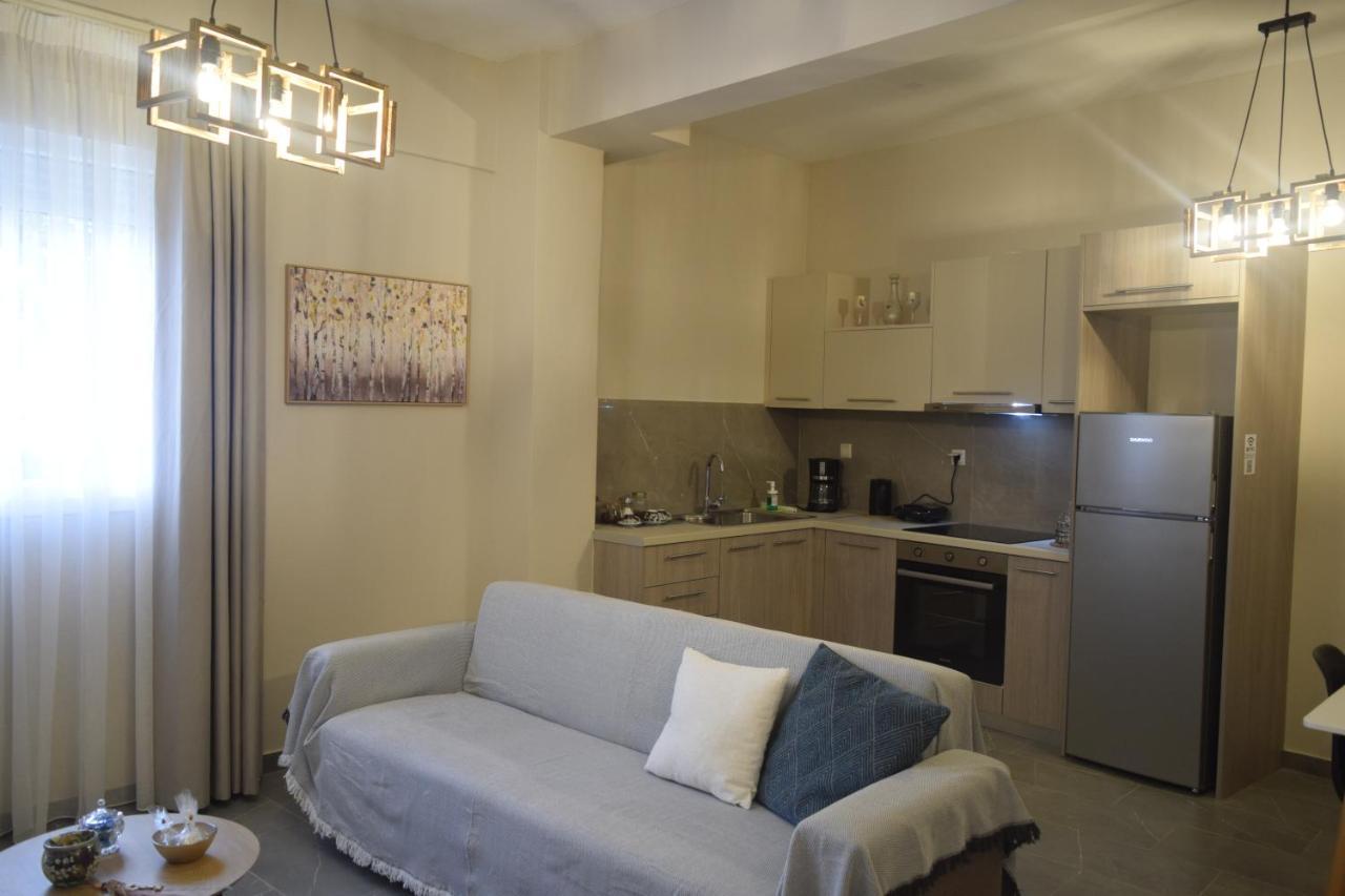 Aristo Central Apartments Ioannina Exterior photo