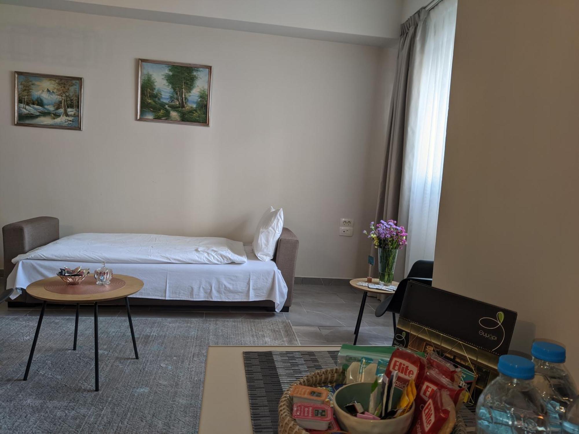 Aristo Central Apartments Ioannina Exterior photo